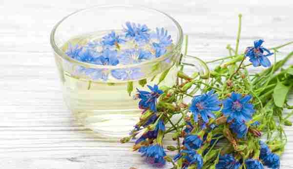 تصویر 1 از خرید عرق کاسنی + قیمت استثنایی